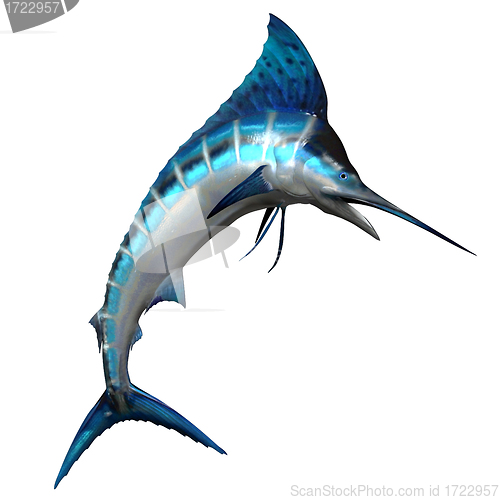 Image of Marlin 02