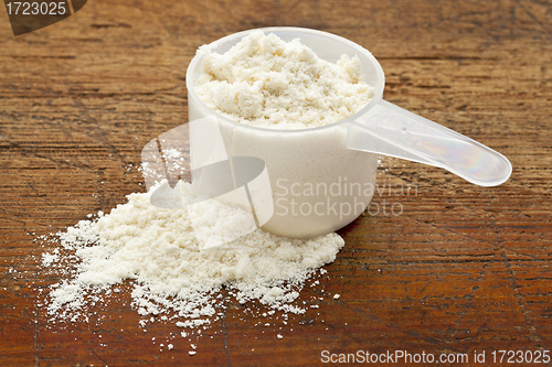 Image of white powder of whey protein