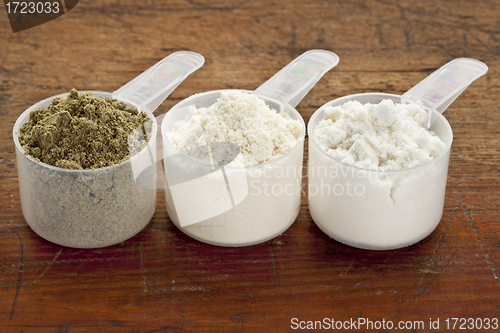 Image of scoops of protein powder