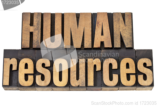 Image of human resources in wood type