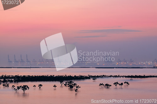 Image of container cranes on a foggy morning