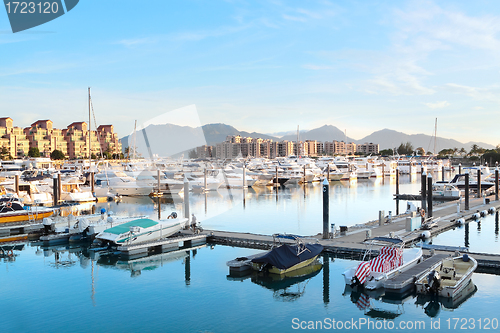 Image of yachts in the golden coast