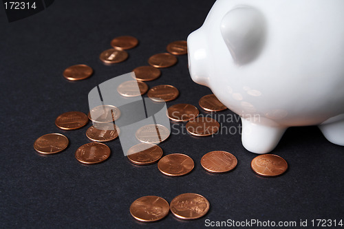 Image of Piggy bank