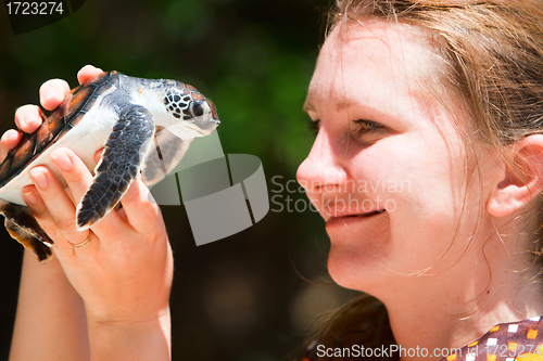 Image of Baby sea turtle