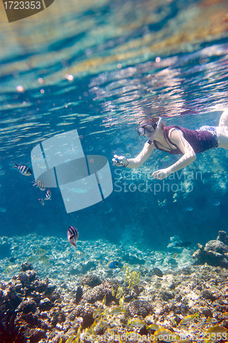 Image of Woman snorkeling