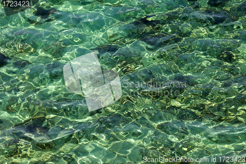 Image of Water background