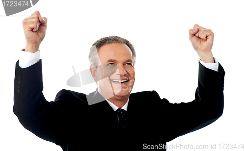Image of Portrait of a successful businessman