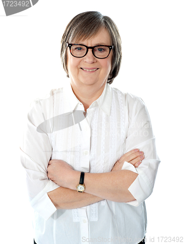 Image of Caucasian senior business executive