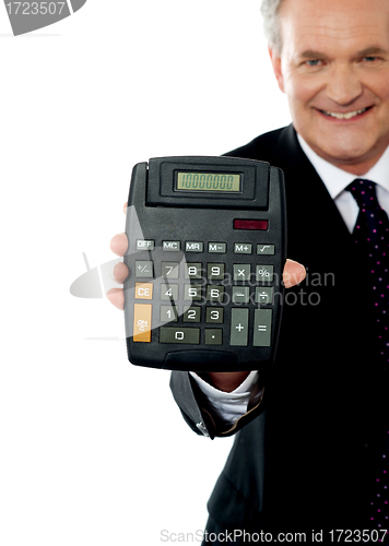 Image of Cropped image of a businessman showing calculator
