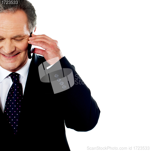 Image of Business professional communicating via phone