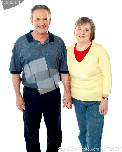 Image of Happy matured couple posing