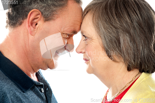 Image of Elderly romantic couple, closeup shot