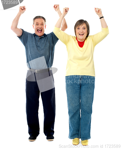 Image of Excited senior couple. Arms raised