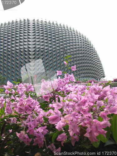 Image of Esplanade Aka Durian @ Singapore