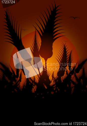 Image of Flowers silhouetted at sunset