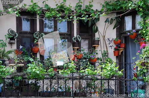 Image of Balcony Garden