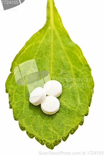 Image of Stevia rebaudiana, support for sugar,tablets