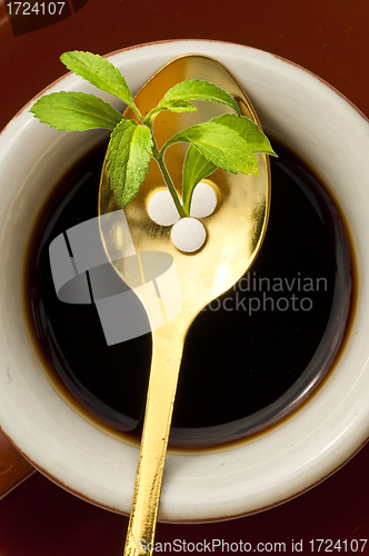 Image of Stevia rebaudiana, support for sugar,tablets