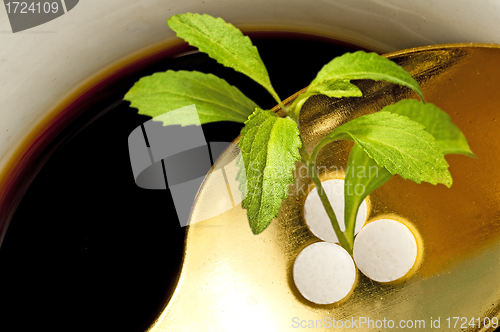Image of Stevia rebaudiana, support for sugar,tablets
