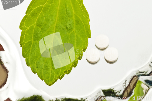 Image of Stevia rebaudiana, support for sugar,tablets