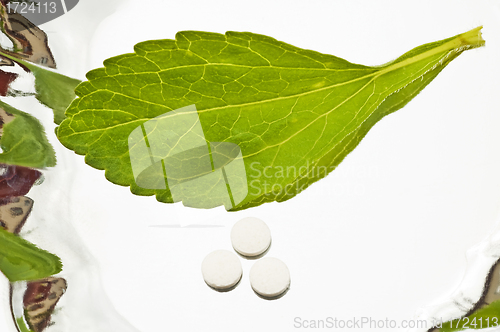 Image of Stevia rebaudiana, support for sugar,tablets