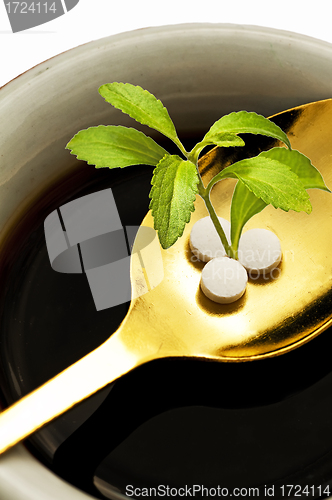 Image of Stevia rebaudiana, support for sugar,tablets
