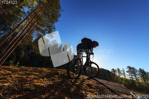 Image of Biker Riding in Forest