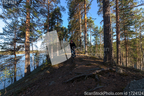 Image of Biker Riding in Forest