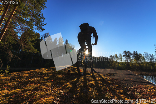 Image of Biker Riding in Forest