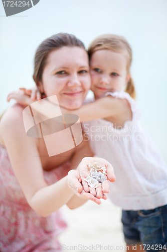 Image of Seashells