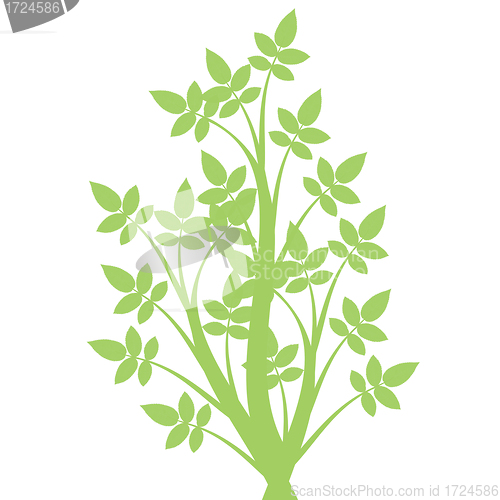 Image of Art Tree Silhouette 