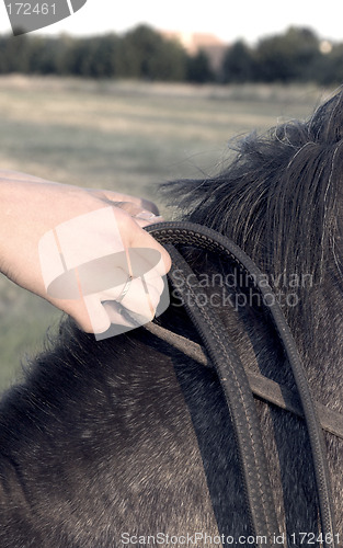 Image of hands close up