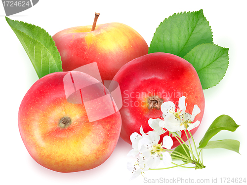 Image of Red apples with green leaf and flowers