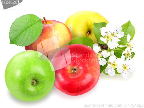 Image of Heap of fresh motley apples 
