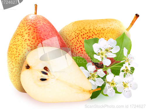 Image of Pears with green leaf and flowers