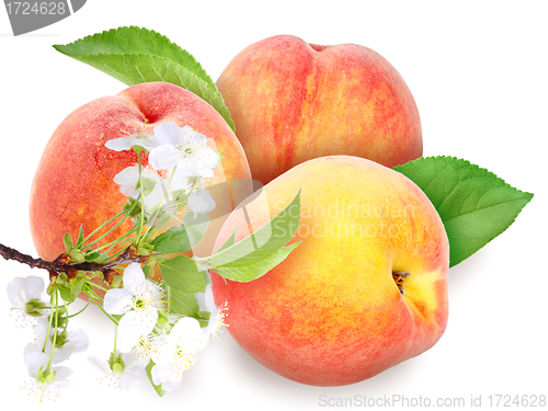 Image of Fresh orange peaches with green leaf