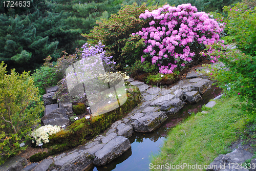 Image of Oslo Botanical Garden