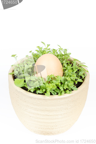 Image of Spring vegetable with easter egg in ceramic pot