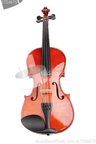 Image of Violin on white background