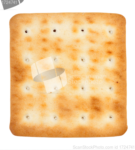 Image of One of biscuits