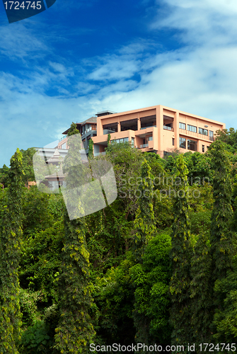 Image of house in the rainforest