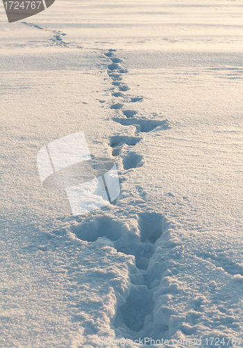 Image of footprints in the snow