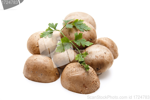 Image of Brown champignons with parsley