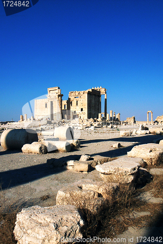 Image of Relics of Palmyra in Syria