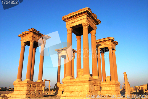 Image of Relics of Palmyra in Syria