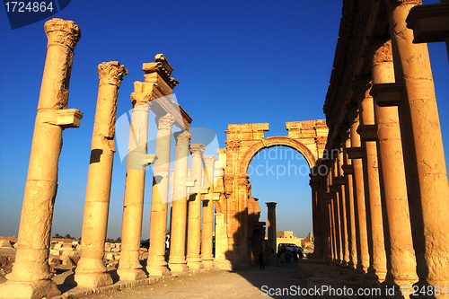 Image of Relics of Palmyra in Syria