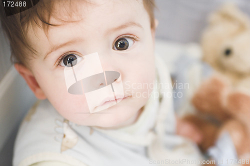 Image of baby portrait