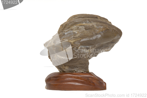 Image of suiseki, contemplation stone isolated