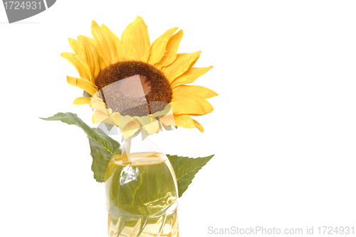 Image of Sunflower oil bottle isolated 