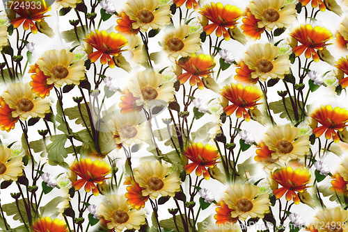 Image of flower wallpaper